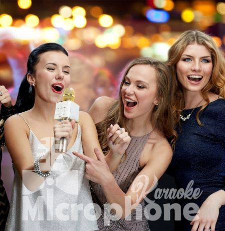1853485595_bluetooth-mikrofon-dlya Bluetooth-мікрофон для караоке Q7 Блютуз мікро + ЧЕХОЛ - Зображення 4